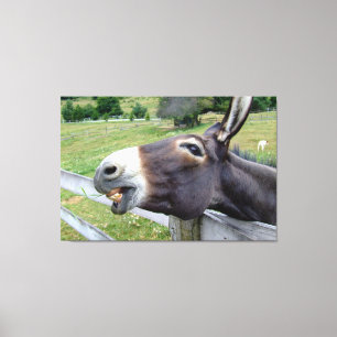 Smiling Donkey in pasture with dog  Canvas Print