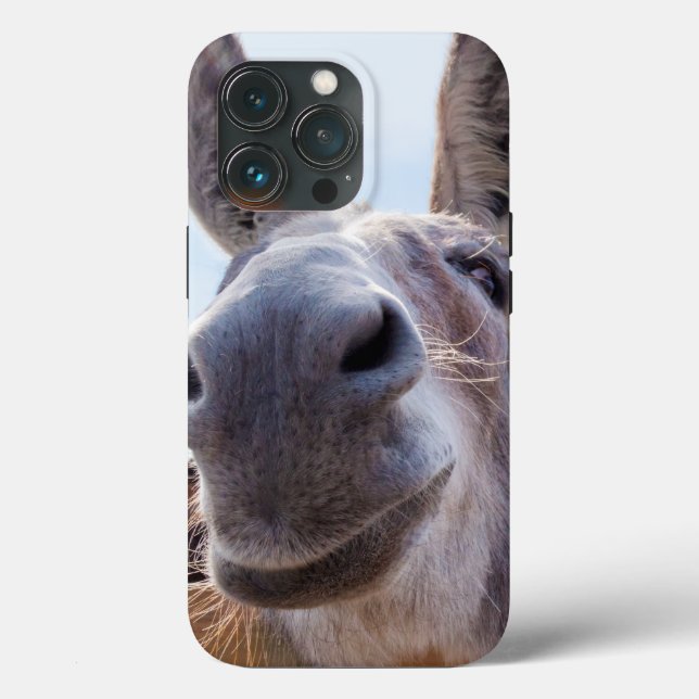 Smiling Donkey with Silly Grin Case-Mate iPhone Case (Back)