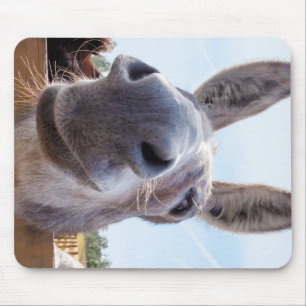 Smiling Donkey with Silly Grin Mouse Mat