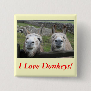 Smiling Donkeys! 15 Cm Square Badge