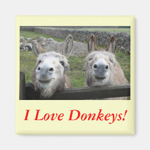 Smiling Donkeys! Magnet