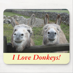Smiling Donkeys! Mouse Mat
