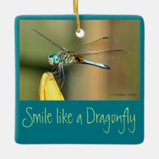 Smiling Dragonfly Ceramic Tree Decoration