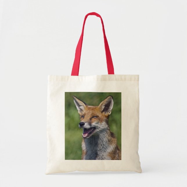Smiling Fox Bag (Front)