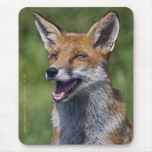 Smiling Fox Mousemat (Front)