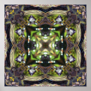 Smiling Frog Face Nature Abstract Kaleidoscope Poster