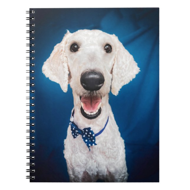 Smiling Funny Poodle Spiral Notebook (Front)
