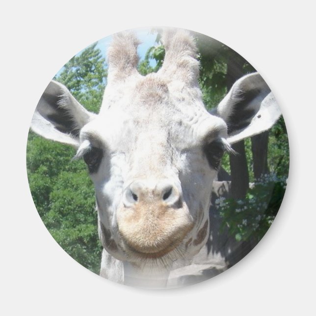 Smiling Giraffe Magnet (Front)