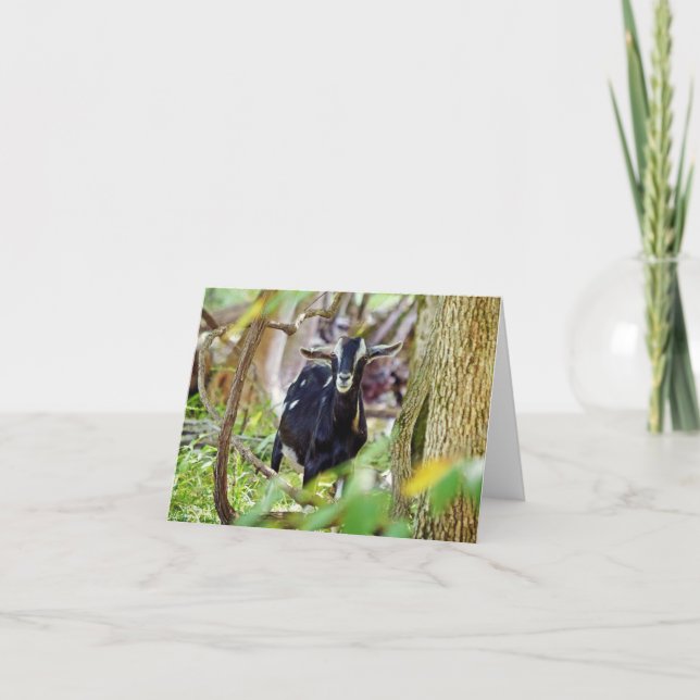 Smiling Goat Card (Front)