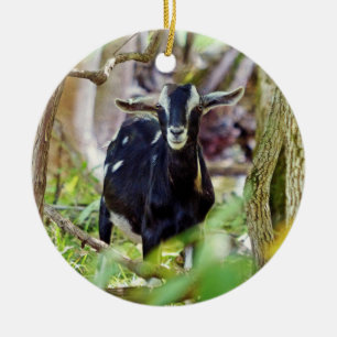 Smiling Goat Ceramic Tree Decoration