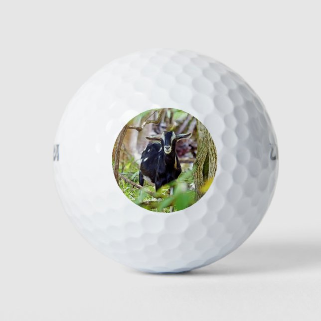 Smiling Goat Golf Balls (Front)