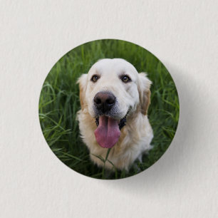 Smiling Golden Retriever 3 Cm Round Badge
