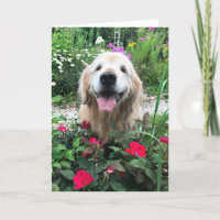 Smiling Golden Retriever Dog Among Flowers Blank