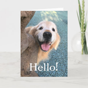 Smiling Golden Retriever Dog Popping Out to Say Hi Card