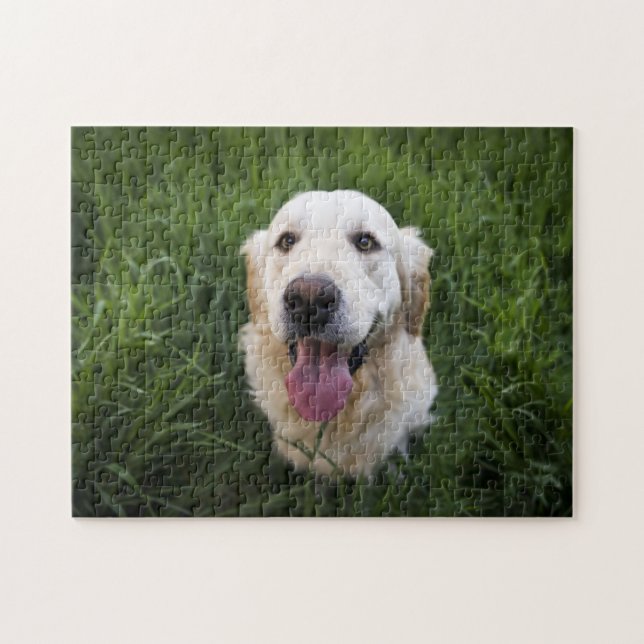 Smiling Golden Retriever Jigsaw Puzzle (Horizontal)