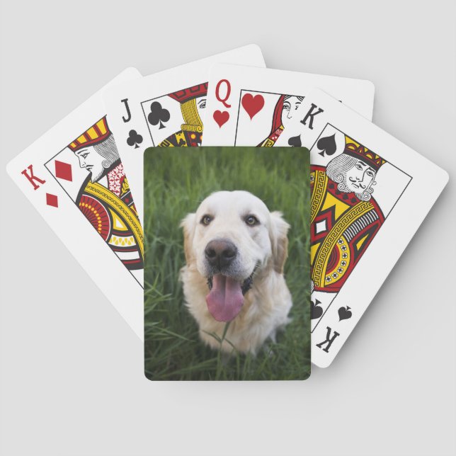 Smiling Golden Retriever Playing Cards (Back)