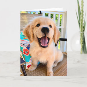 Smiling Golden Retriever Puppy Dog Hello Card