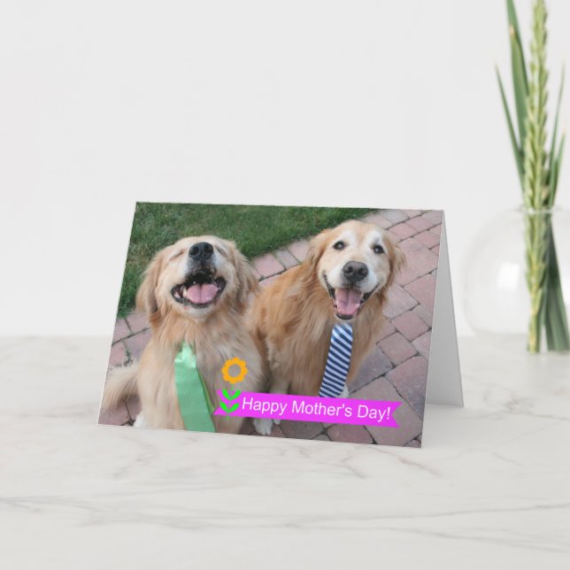 Smiling Golden Retrievers Wearing Ties Mothers Day Card (Front)