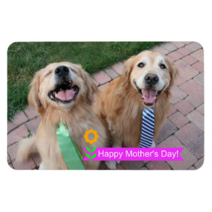 Happy mothers day golden 2024 retriever