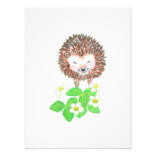 Smiling Hedgehog Photo Print