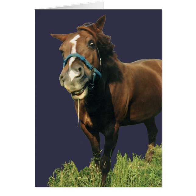 Smiling Horse (Front)