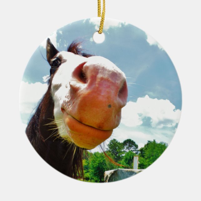 Smiling Horse Ceramic Tree Decoration (Front)