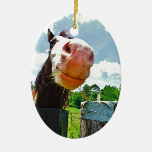 Smiling Horse Ceramic Tree Decoration (Front)