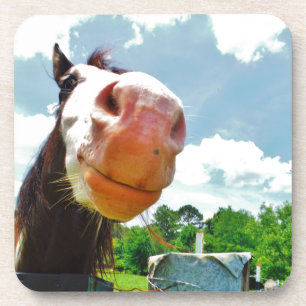 Smiling Horse Coaster