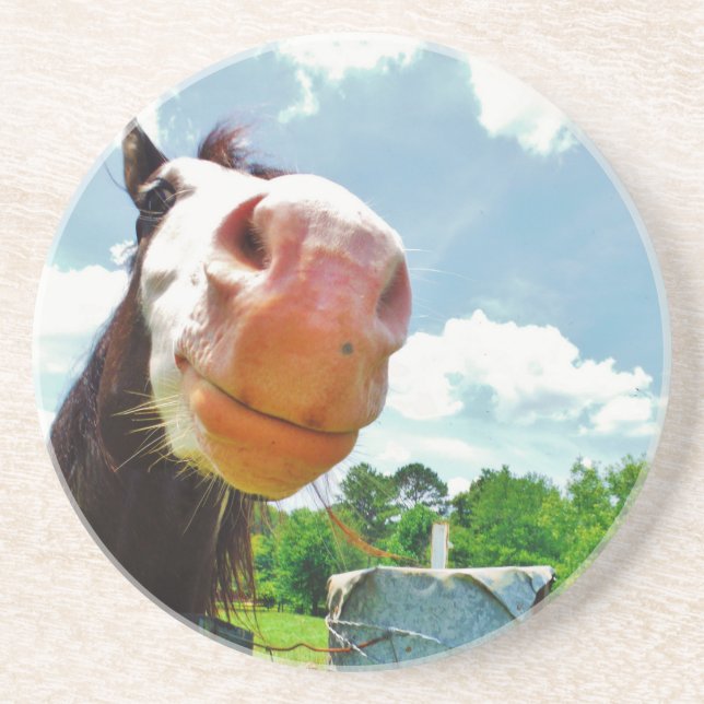Smiling Horse Coaster (Front)