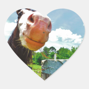 Smiling Horse Heart Sticker