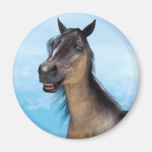 Smiling Horse Magnet (Front)