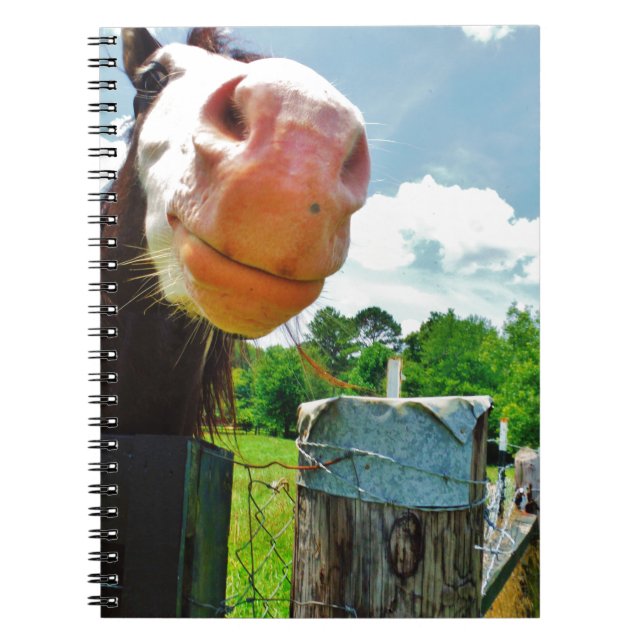 Smiling Horse Notebook (Front)