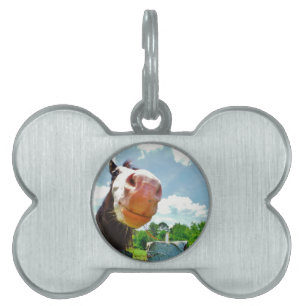 Smiling Horse Pet ID Tag