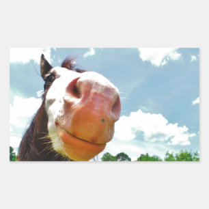 Smiling Horse Rectangular Sticker