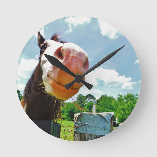 Smiling Horse Round Clock (Front)