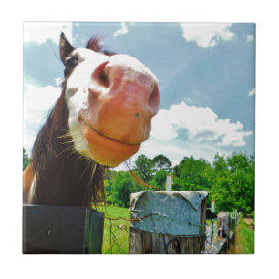 Smiling Horse Tile