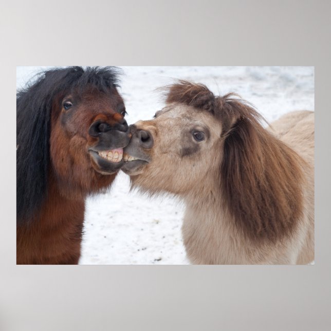 Smiling Horses Poster (Front)
