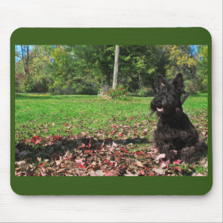 Smiling in the Leaves Mouse Mat