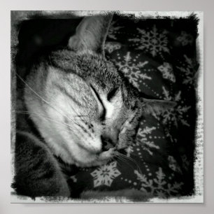 Smiling Indigo B+W Poster