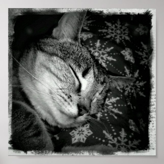 Smiling Indigo B+W Poster (Front)