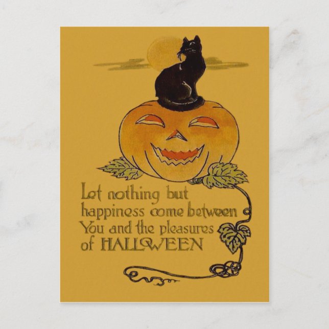 Smiling Jack O Lantern Pumpkin Black Cat Vine Postcard (Front)