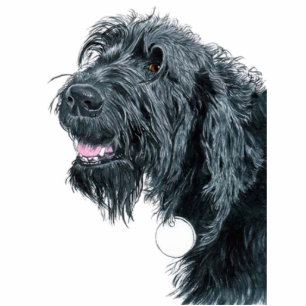 Smiling Labradoodle Sculpture Standing Photo Sculpture