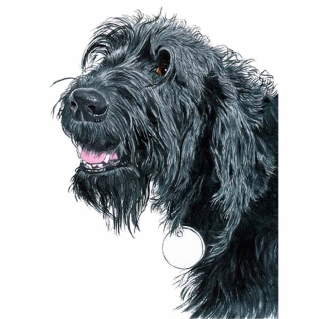 Smiling Labradoodle Sculpture Standing Photo Sculpture (Front)