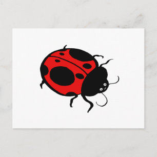Smiling Ladybug - Postcard