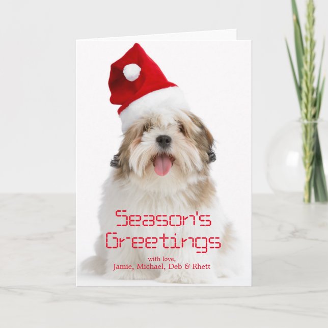 Smiling Lhasa Apso Dog Wearing Santa Hat Holiday Card (Front)