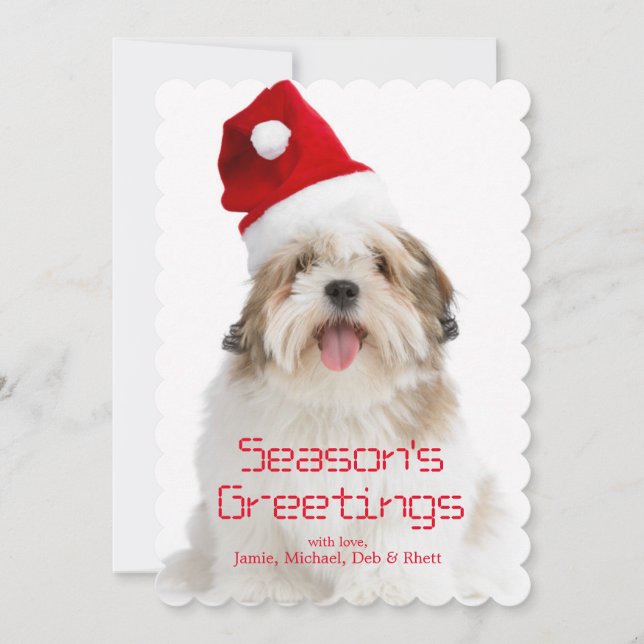 Smiling Lhasa Apso Dog Wearing Santa Hat Holiday Card (Front)