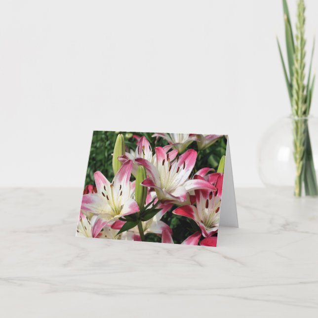 Smiling Lilies Flower Photography Note Card (Front)