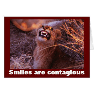 Smiling Lion Cub Smiles are Contagious