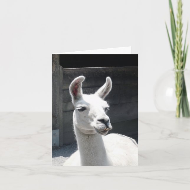 Smiling Llama Blank Note Card (Front)