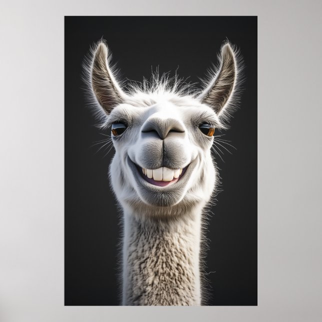 Smiling Llama Close-Up Poster (Front)